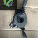 98AG 17A553 CC Ford focus Fiesta connect sinyal silegeç kolu