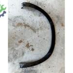 AUSTURAL ÇAMURLUK KAPLAMA OEM 788751178R