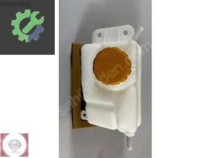 CHEVROLET DAEWO KALOS AVEO YEDEK SU DEPOSU KAPAKLI KALE 96817343 (2. Adet)