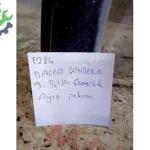 DACİA SANDERO 3 SOL ÖN ÇAMURLUK DODİĞİ 638132662R ÇIKMA