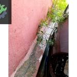 FORD FOCUS ARKA DİNGİL DOLU