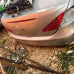 Peugeot 307 Çıkma Arka Cam