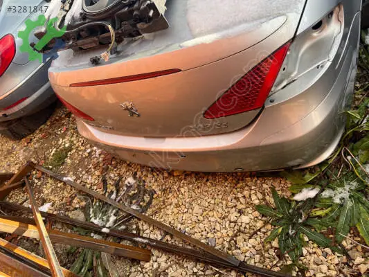 Peugeot 307 Arka Cam çıkma parça