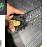 Ford Focus 15-18 Ford kuga 13-18 motor üst muhafaza kapağı
