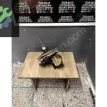 Golf4 Bora Toledo fren merkezi komple vestanhaus fren servosu