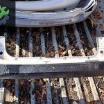 LODGY ARKA TAMPON ORJİNAL ÇIKMA 850222896R