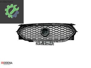 MG ZS 2020 2021 2022 2023 2024 ÖN PANJUR SIFIR 10633336