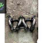 Peugeot Partner Emme Manifoldu Çıkma Parça Gaziantep