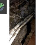 Audi A6 Şanzıman Komple Çıkma Parça Kayseri