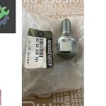 RENAULT 9-11-19-21 BİJON SAPLAMA CİVATASI 19LUK MAİS 8200030701