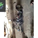 RENAULT CLİO4-DACİA LODGY MOTOR TESİSATI