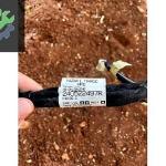 RENAULT KADJAR BAGAJ ELEKTRİK TESİSATI ORİJİNAL 240522497R