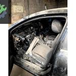RENAULT KADJAR HATASIZ KAPI FİTİLLERİ