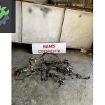 RENAULT KADJAR MOTOR TESİSATI 240110292R