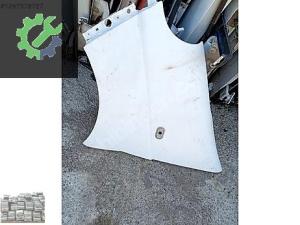RENO TRAFİC SOL ÇAMURLUK