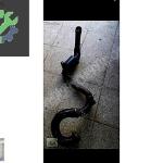 TRAFİC 2 TURBO HORTUMU 144602126r 8200760909