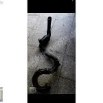 TRAFİC 2 TURBO HORTUMU 144602126r 8200760909
