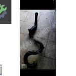 TRAFİC 2 TURBO HORTUMU 144602126r 8200760909