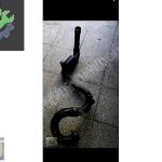 TRAFİC 2 TURBO HORTUMU 144602126r 8200760909