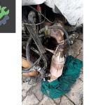 Temiz Fabrikasyon Mercedes Toptan Direksiyon Simidi Otomotiv Ekipmanları Orginal