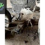 Uygun Fabrikasyon Yedek Parça Kapı camları Temiz Çıkma Citroën