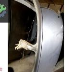 2001 Volkswagen Passat Kesme Tavan Sacı Çıkma Parça Konya