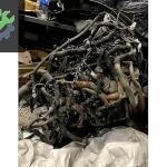 X250 NİSSAN NAVARA MOTOR TESİSATI W470