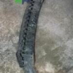Audi A3 2006 Çıkma Ön Tampon No 3865670
