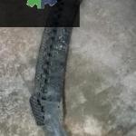 AUDİ A3 ORJİNAL ÇIKMA ÖN TAMPON SPOYLER 8P