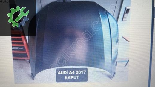 Audi A4 Kaput çıkma parça