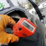 Audi A6 2005-2011 Ön Şasi-Şase Çeyrek Marşpiy Parçası
