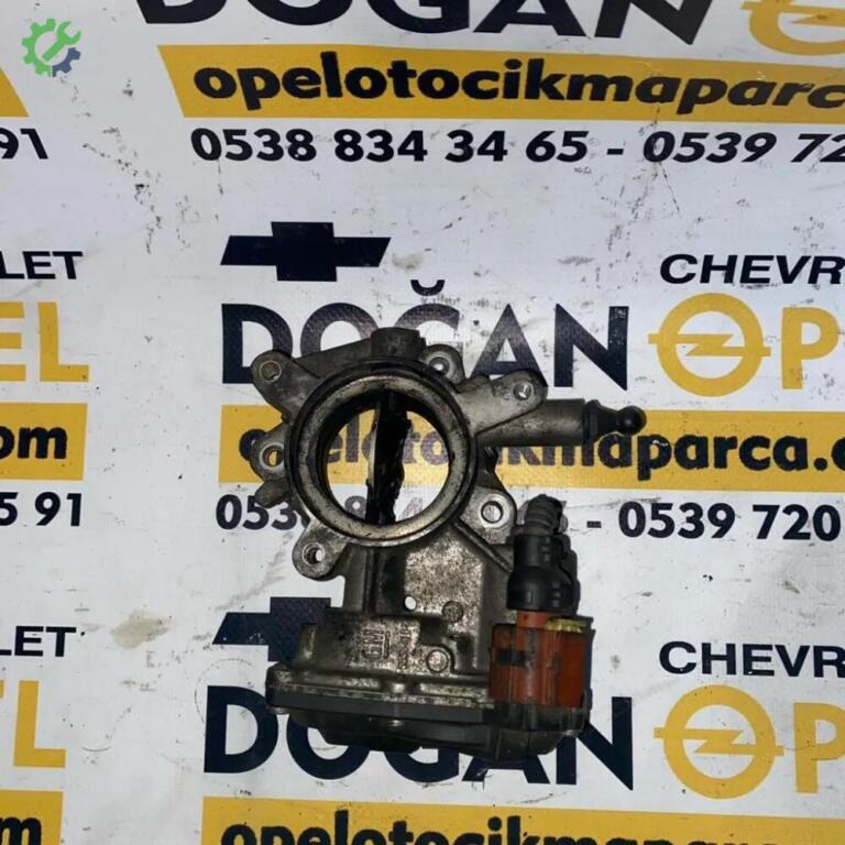 Opel Insignia Gaz Kelebeği çıkma parça