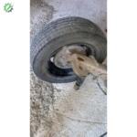 Opel Astra G Çıkma Orijinal Arka Kampana Taşıyıcı GM Sağ sol