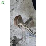 Opel Astra F Çıkma Arka Amortisör Takımı