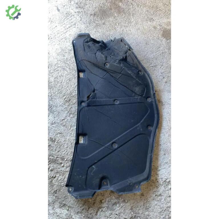 Chevrolet Captiva Kaput çıkma parça