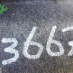 BMW F30 SAĞ ARKA DAVLUMBAZ 51717260293