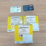 BMW M40 SEGMAN STD 06-702600-20