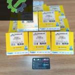 BMW M50 SEGMAN 06-705000-00