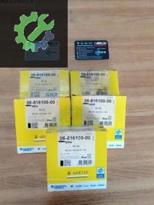 BMW M54 B20 SEGMAN STD 06-816100-00
