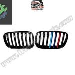BMW X5 E70 X6 E71 ÖN PANJUR IZGARA 2007 2008 2009 2010 2011 2012