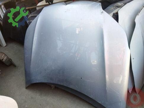 Citroen C5 Kaput çıkma parça