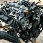 Volkswagen Crafter Motor çıkma parça - EYLÜL OTOMOTİV YEDEK PARÇA (İSTANBUL) İstanbul