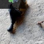FİAT FİORİNO VİTES KOLU ÇIKMA