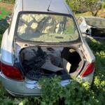 Fiat Linea Orijinal Çıkma Tavan
