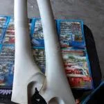 Fiat Marea Bravo ön cam sol sağ direk kaplama plastiği