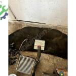 fiat punto kaput izelatörü