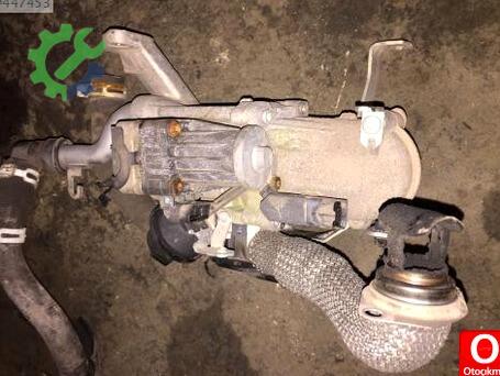 Ford Fiesta EGR çıkma parça
