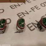 FORD FİESTA LED FAR BEYNİ H1BB 13D278 AC 3