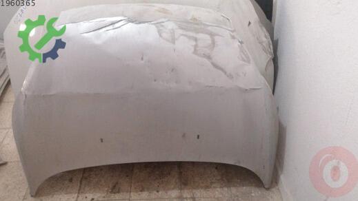 Ford Fiesta Kaput çıkma parça