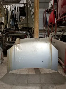 Ford Fusion Kaput 2002-2011 çıkma parça